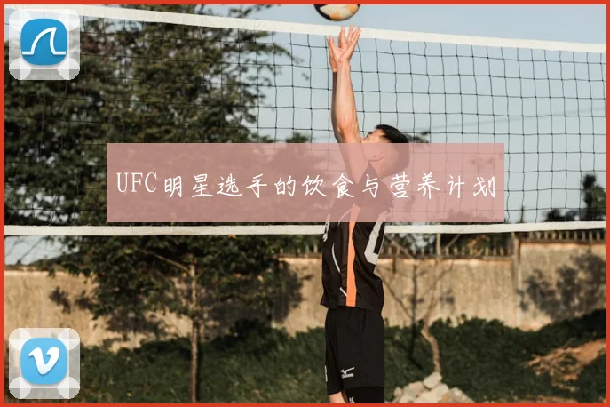 UFC明星选手的饮食与营养计划