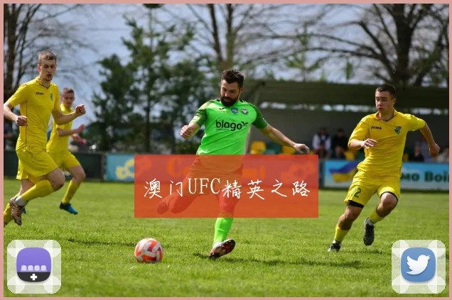 澳门UFC精英之路