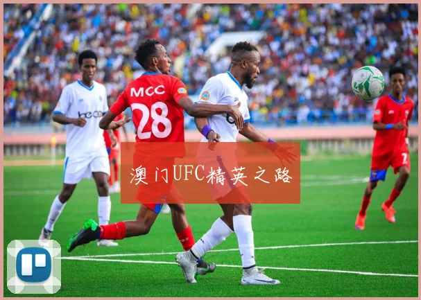 澳门UFC精英之路