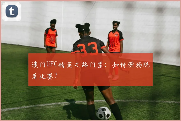 澳门UFC精英之路门票：如何现场观看比赛？