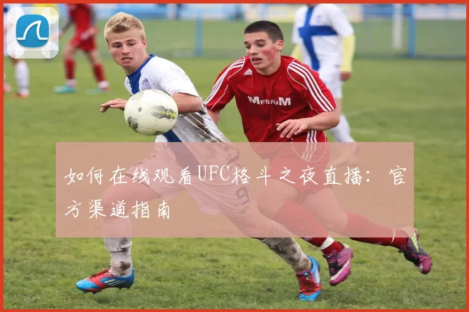 如何在线观看UFC格斗之夜直播：官方渠道指南