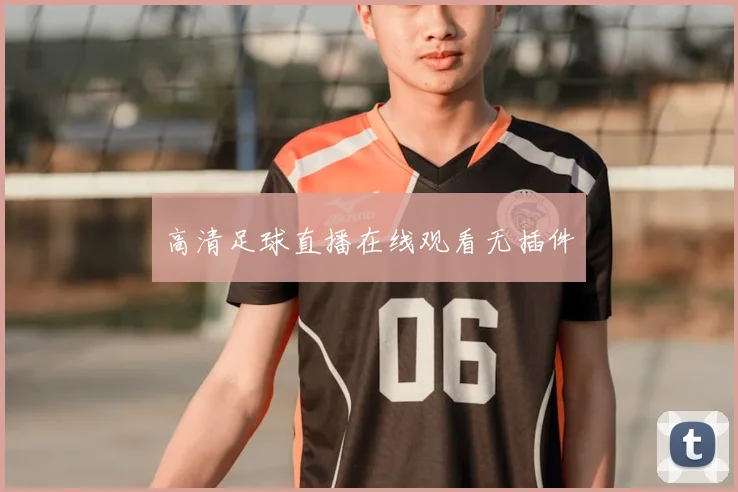 高清足球直播在线观看无插件