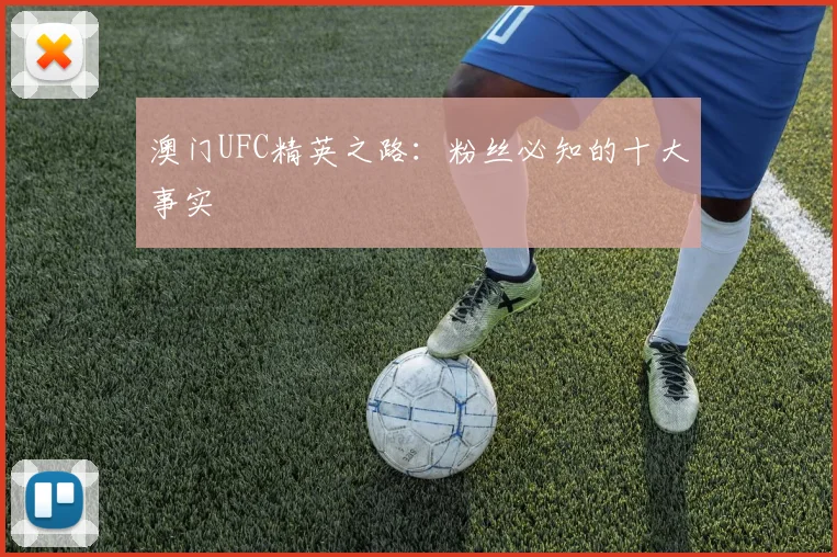 澳门UFC精英之路：粉丝必知的十大事实