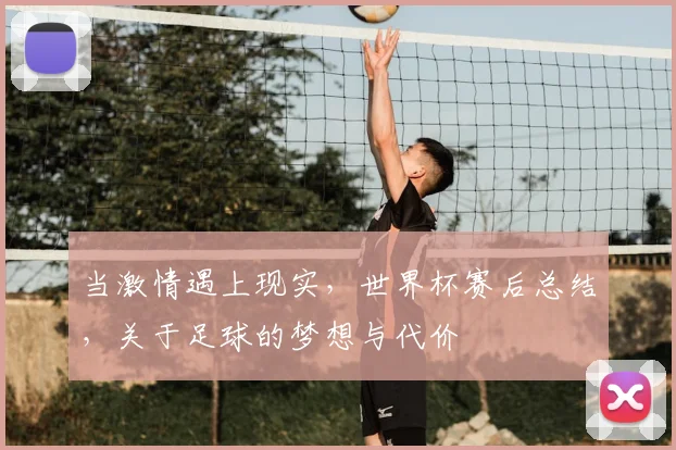 当激情遇上现实，世界杯赛后总结，关于足球的梦想与代价