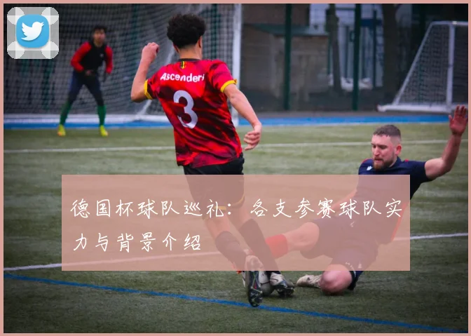 德国杯球队巡礼：各支参赛球队实力与背景介绍