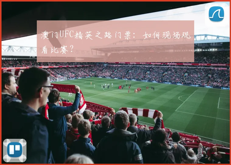 澳门UFC精英之路门票：如何现场观看比赛？